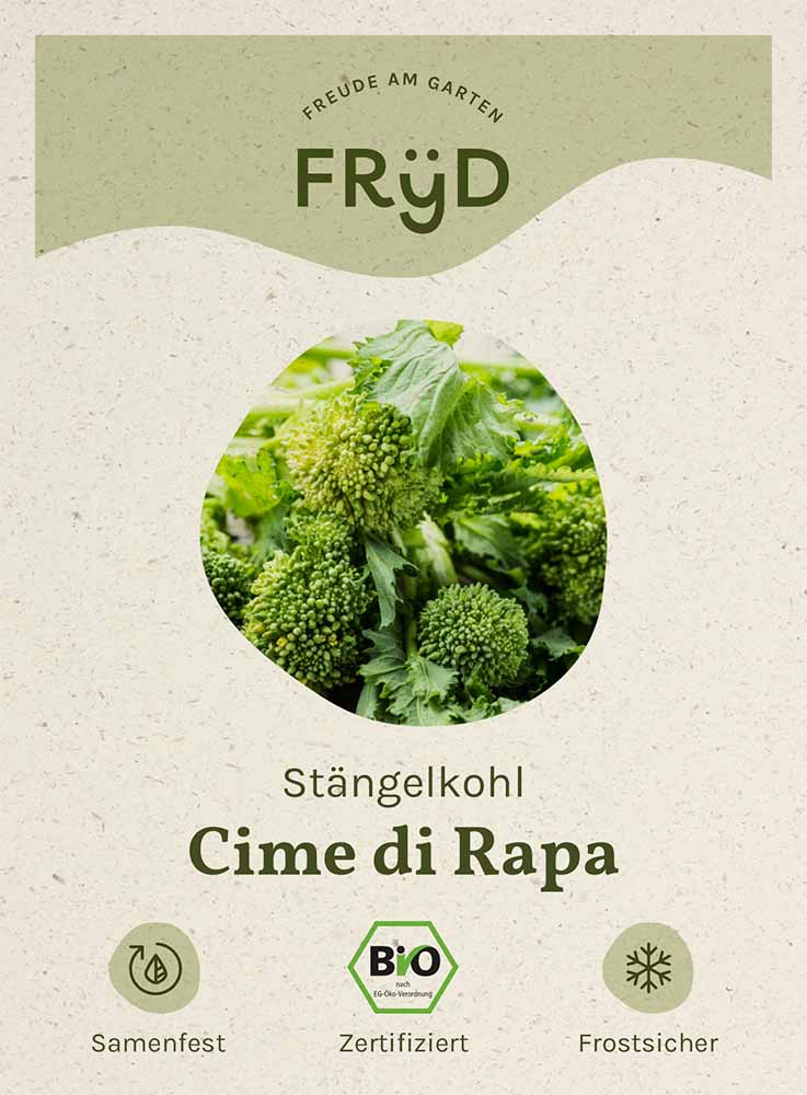 Fryd Bio St Ngelkohl Cime Di Rapa Samenhaus Samen S Mereien