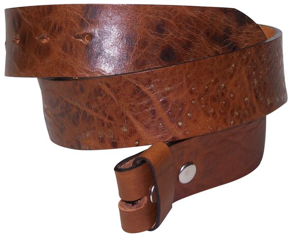 interchangeable belt buckle strap