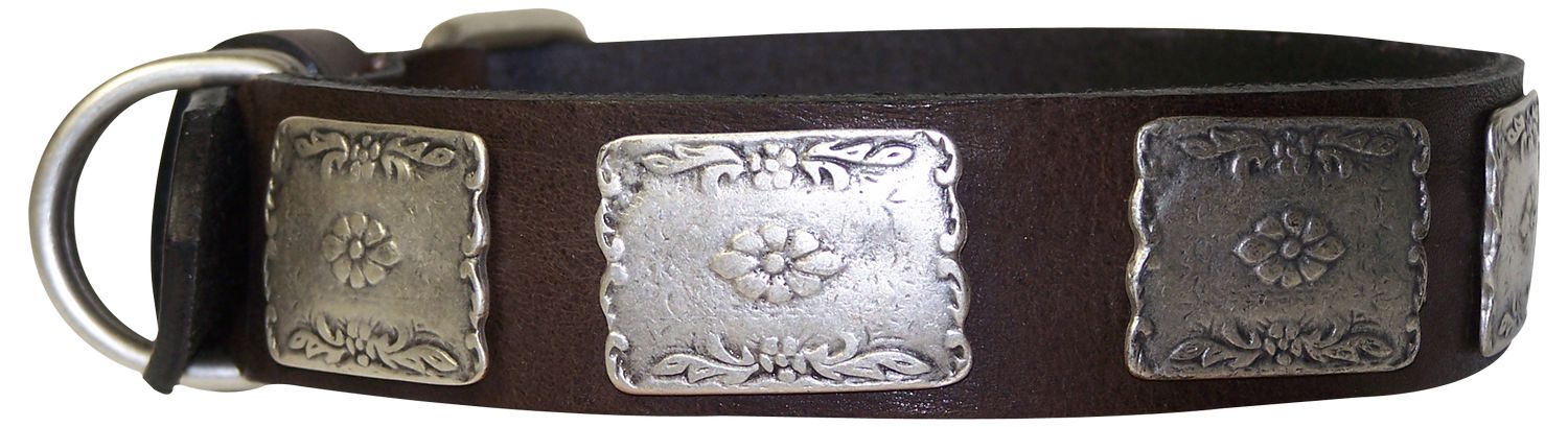 western style dog collars