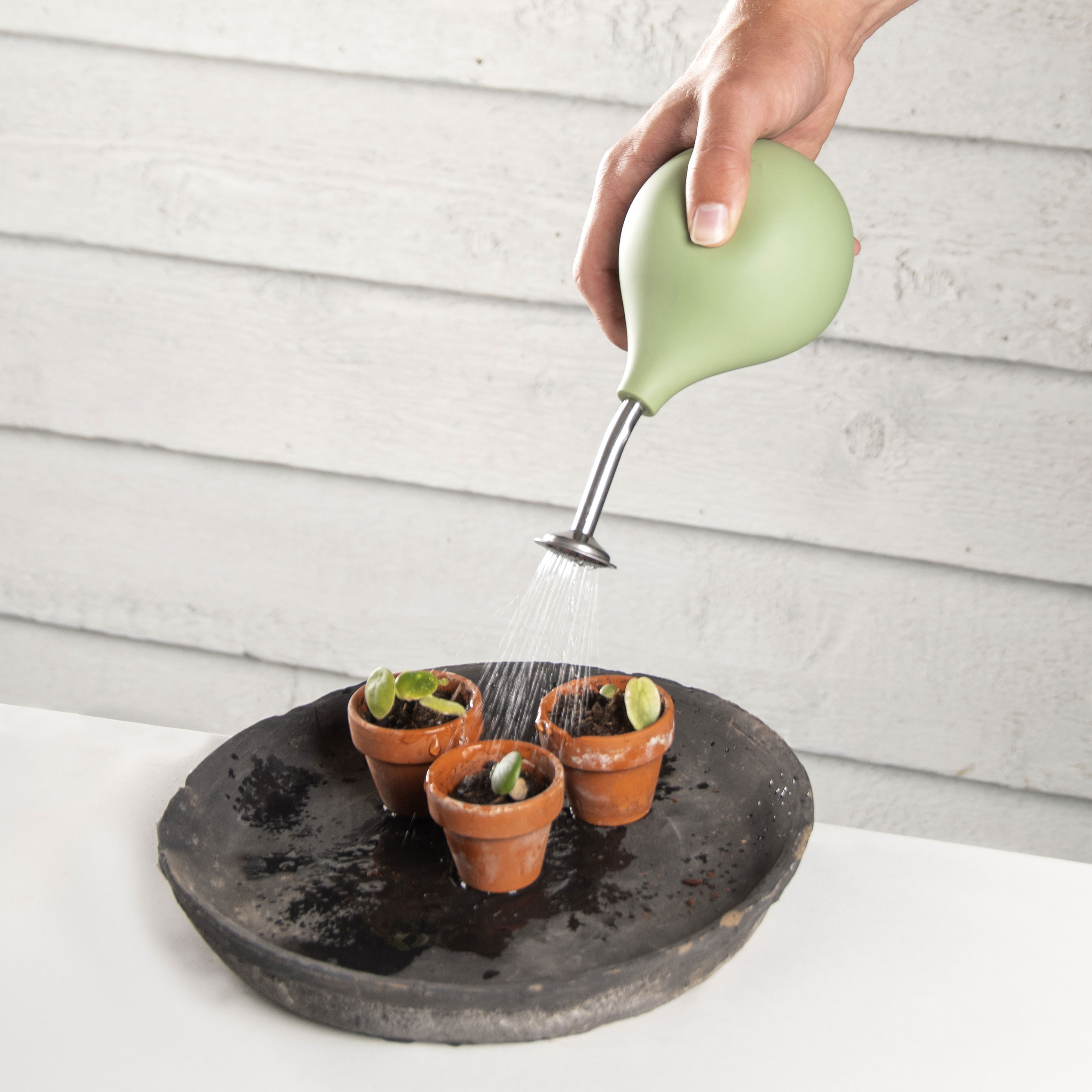 KLEIN MINTGRN Pflanzen Sprher 240 ml  Zerstuber fr Blumen &  Zimmerpflanzen | Dekowunder