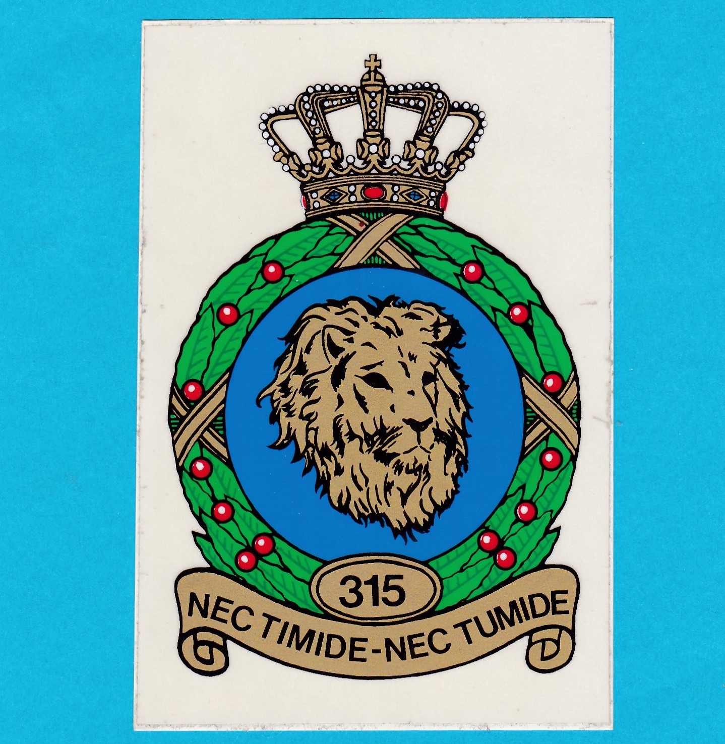 315.Squadron, Roy. Netherlands Air Force, Klu, Aufkleber, sticker