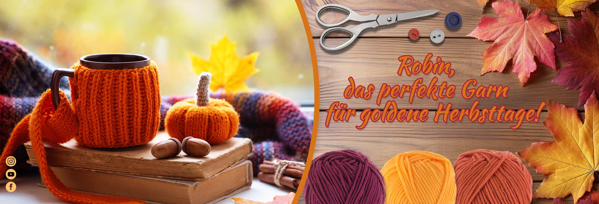     100g Strickgarn Robin Uni Antipilling Winterwolle Handstrickgarn Häkelgarn Farbwahl