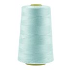 4572m Qualitäts Overlock-Garn Overlock-Nähgarn Oeko-Tex Farbe 821 - 860