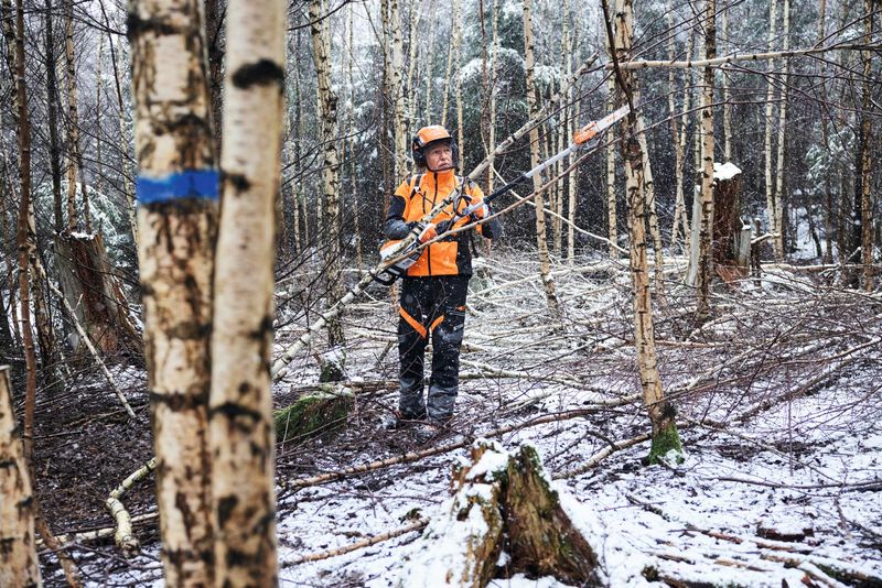 STIHL Set ADVANCE X-TREEm HT STIHL Set ADVANCE X-TREEm HT