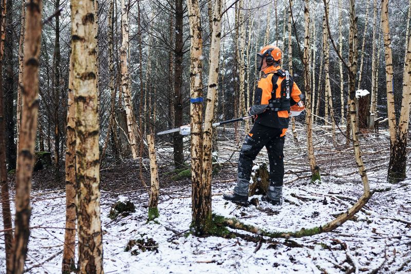 STIHL Set ADVANCE X-TREEm HT STIHL Set ADVANCE X-TREEm HT