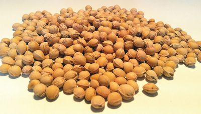 15 KG LOSE KIRSCHKERNE KIRSCHSTEINE - SCHONEND GEREINIGT AUS NEUER ...