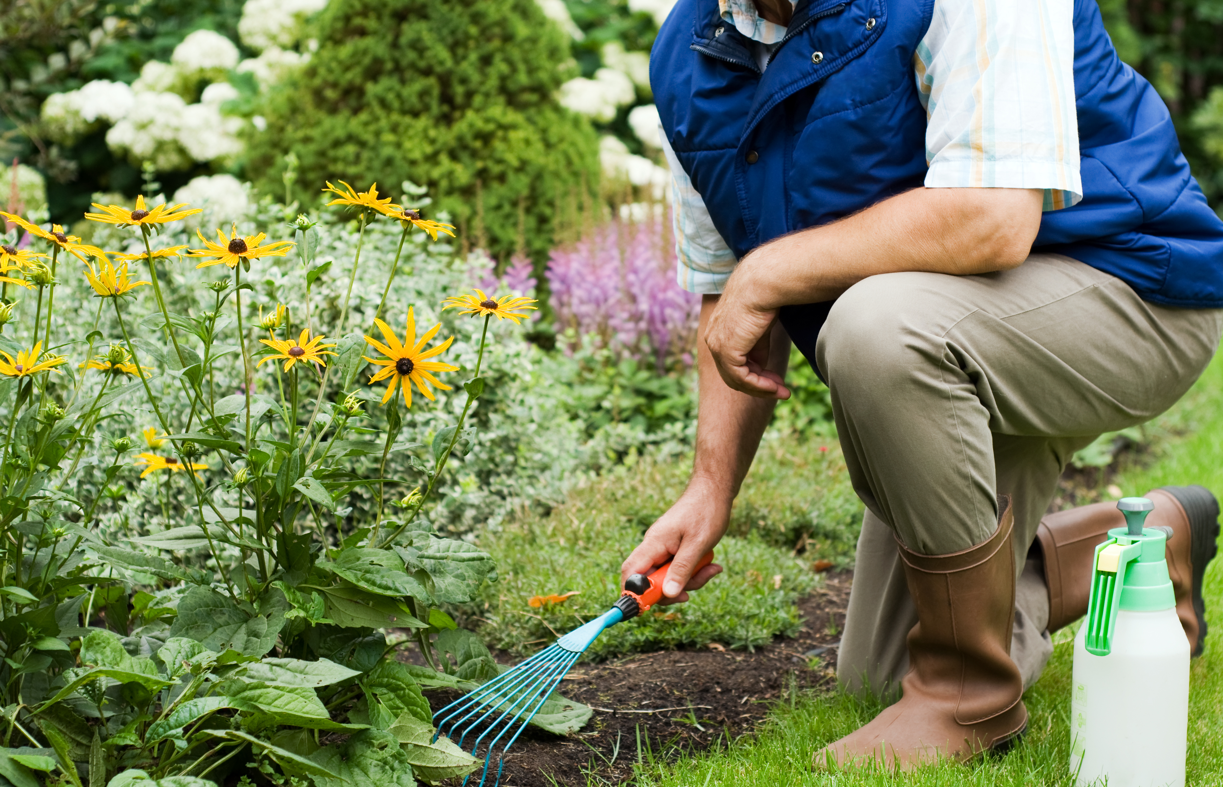 Beet anlegen: Tipps für eine gelungene Gartengestaltung