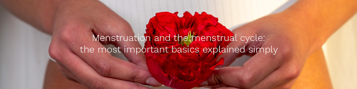 Menstruation and the menstrual cycle: the most important basics explained simply