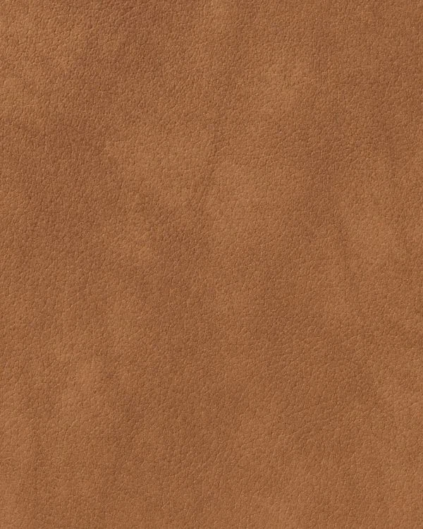 LIND DNA Tischset L Nupo-Curve / Nature