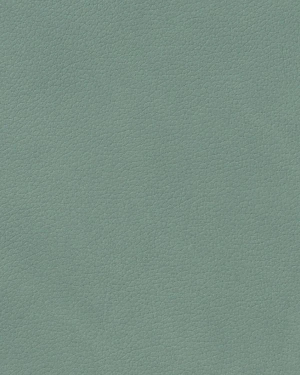 LIND DNA Glasuntersetzer Nupo 2-er Set-Curve / Pastel Green