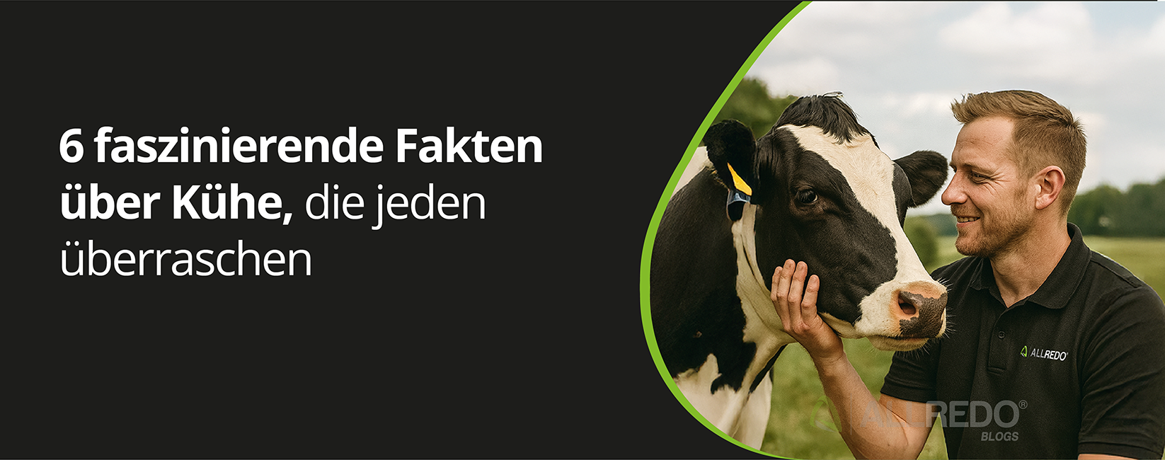6 faszinierende Fakten über Kühe, die jeden überraschen
