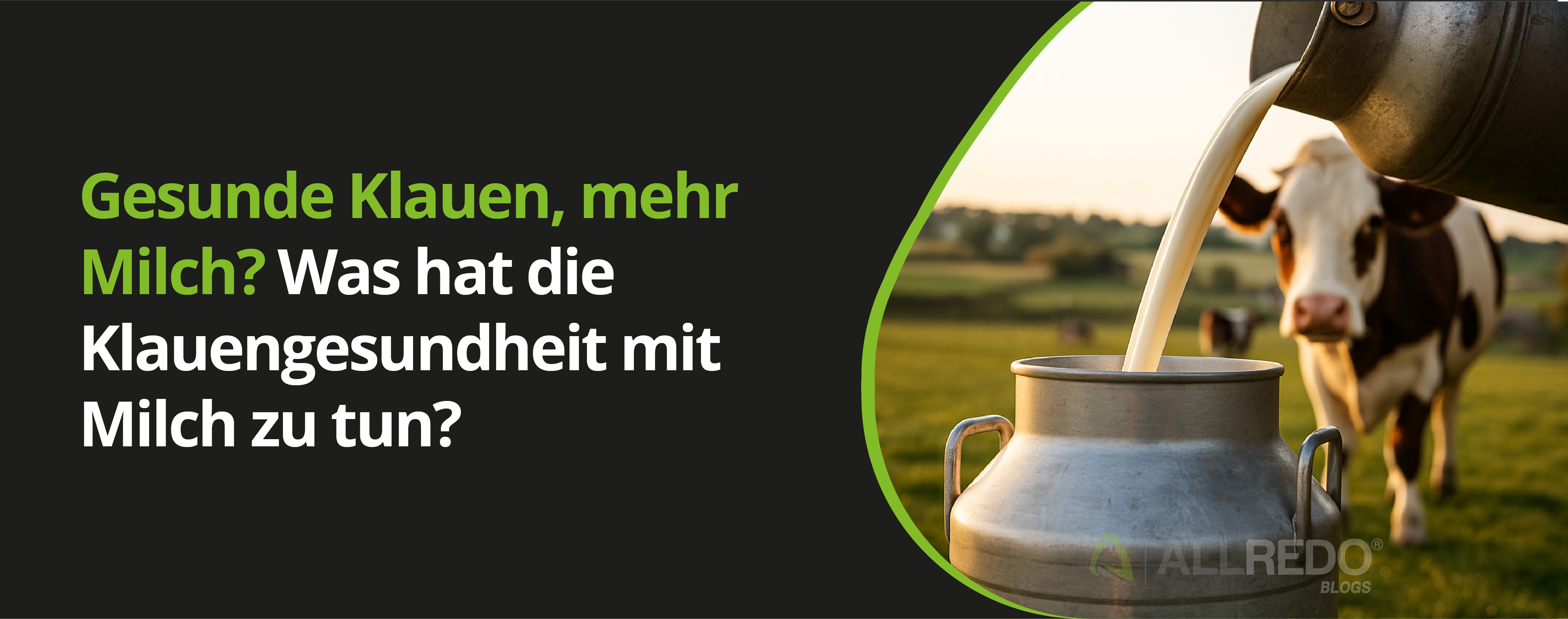 Gesunde Klauen, mehr Milch?  Was hat die Klauengesundheit mit Milch zu tun?