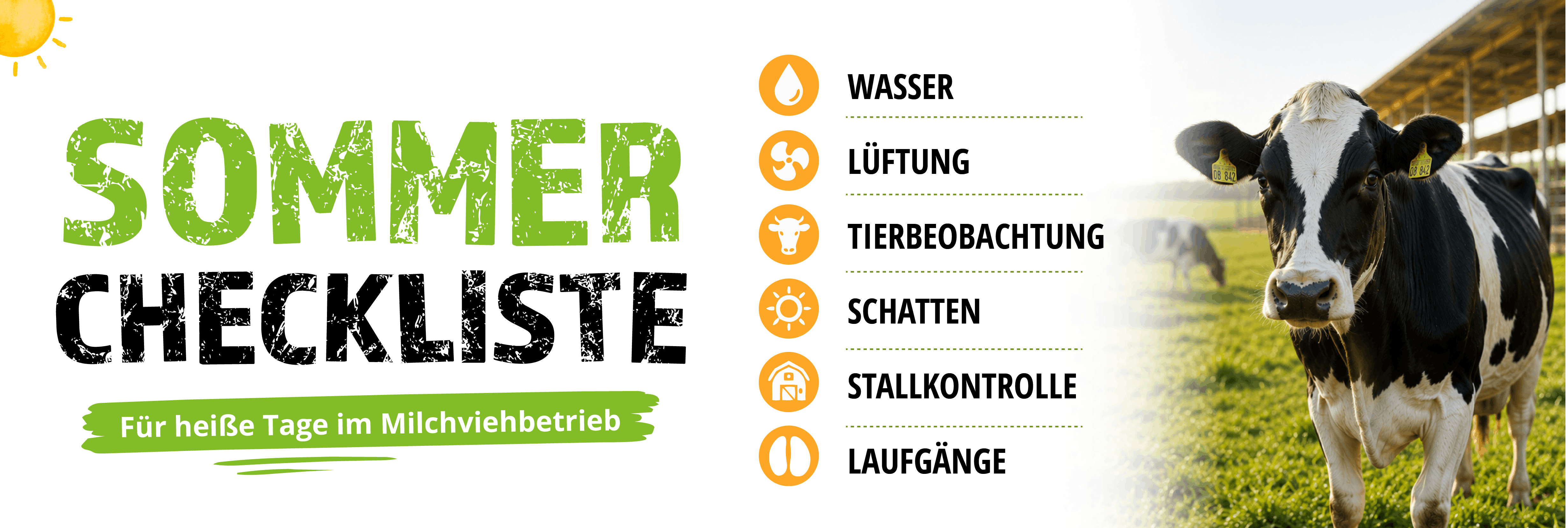 Sommer Checkliste Banner für das Sommermanagement im Milchviehbetrieb
