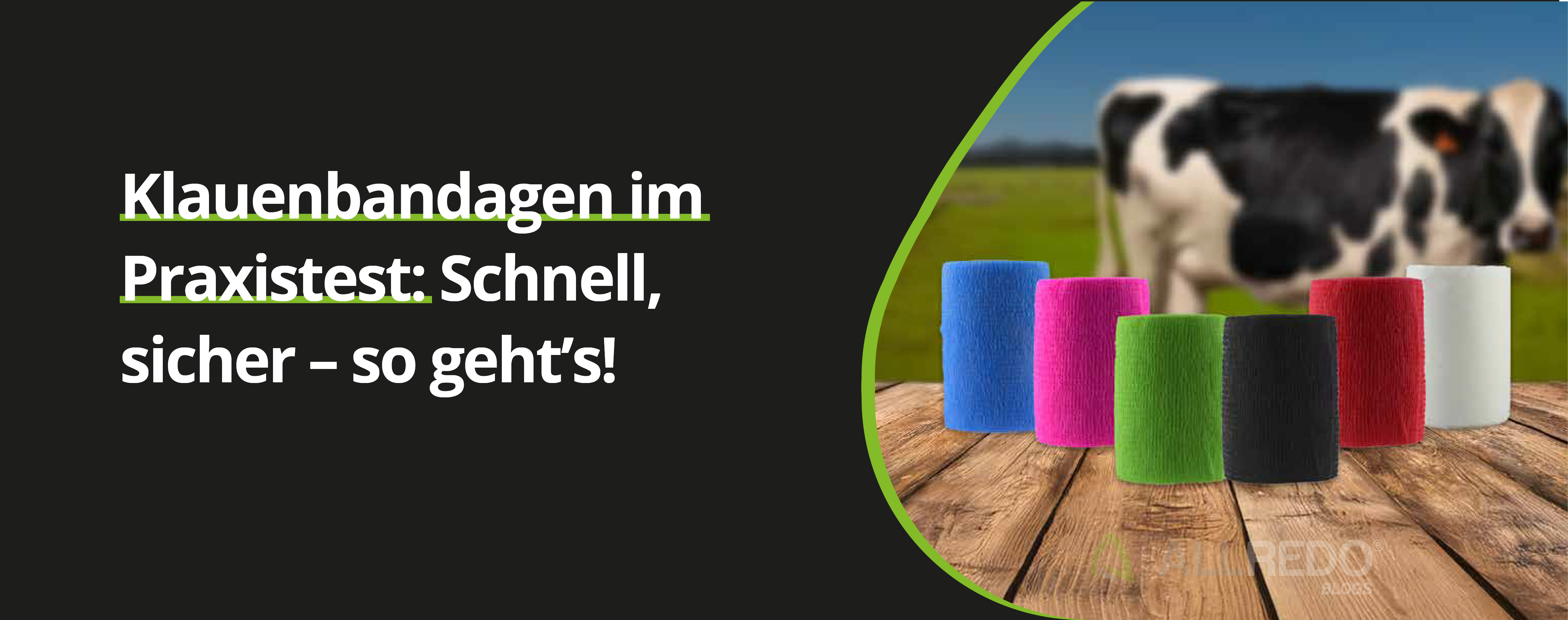 Klauenbandage im Praxistest: Schnell, sicher – so geht’s!
