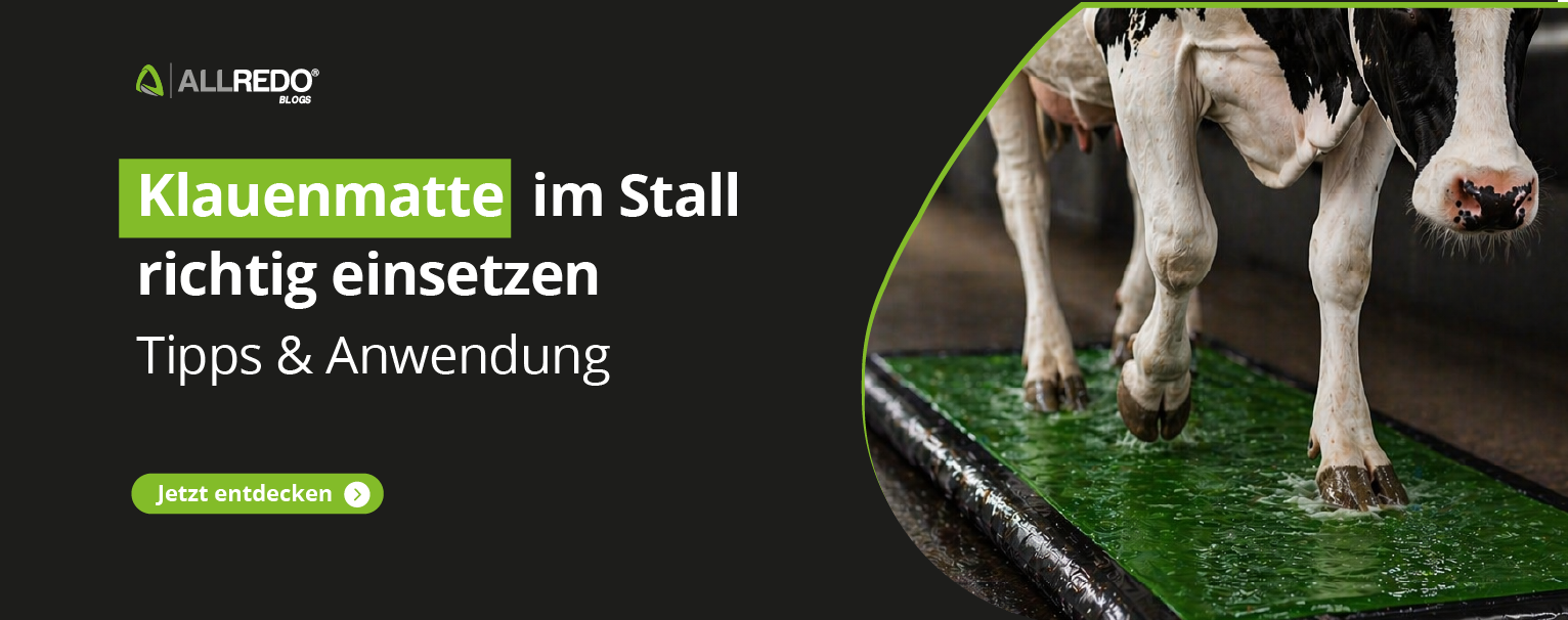Klauenmatte im Stall richtig einsetzen