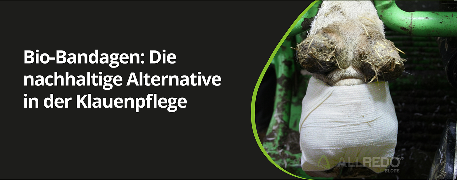 Bio-Bandagen: Die nachhaltige Alternative in der Klauenpflege