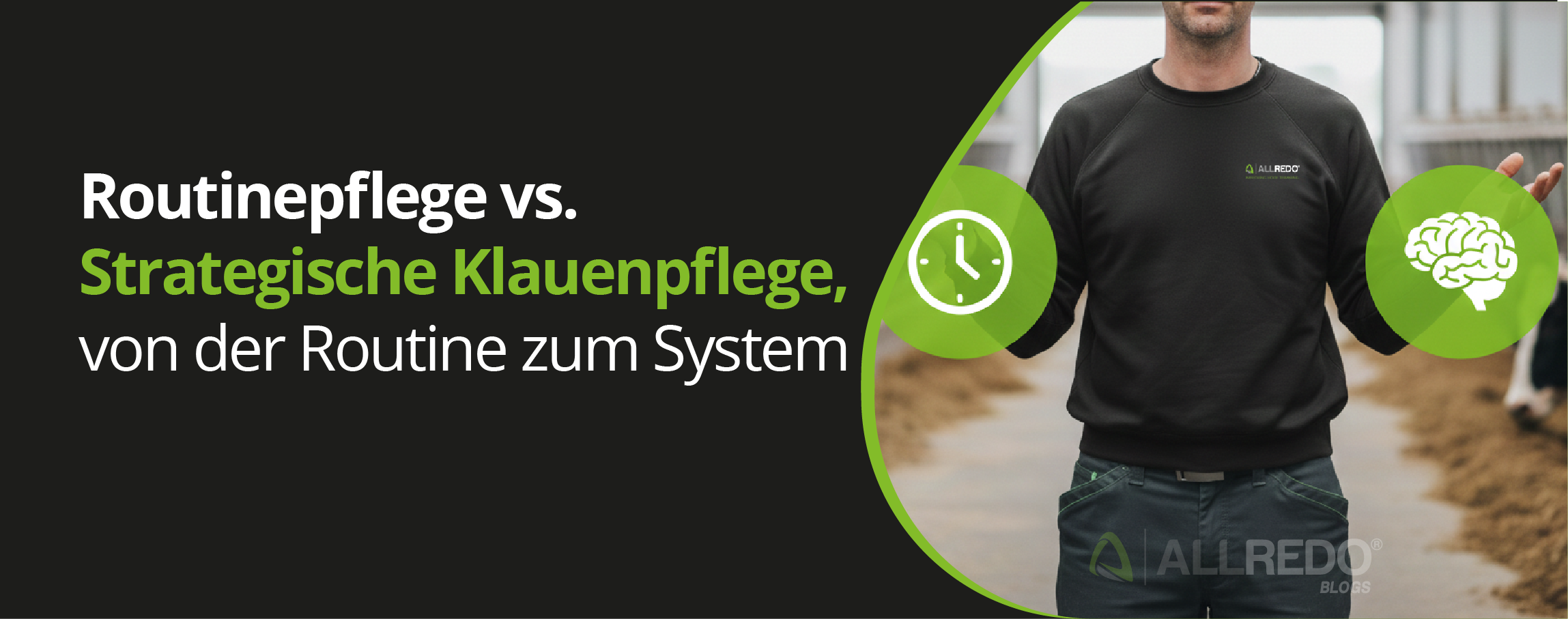Routinepflege vs. Strategische Klauenpflege, von der Routine zum System