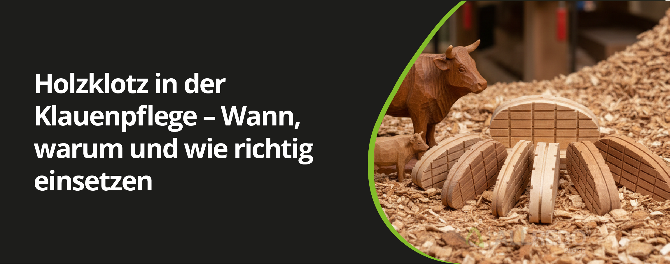 Holzklotz in der Klauenpflege Wann, warum und wie richtig einsetzen