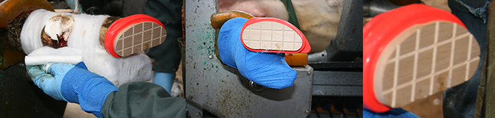 Schematische Druckverteilung