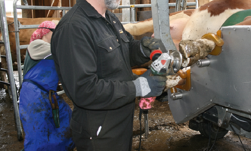 Fünf goldene Regeln der Klauenpflege