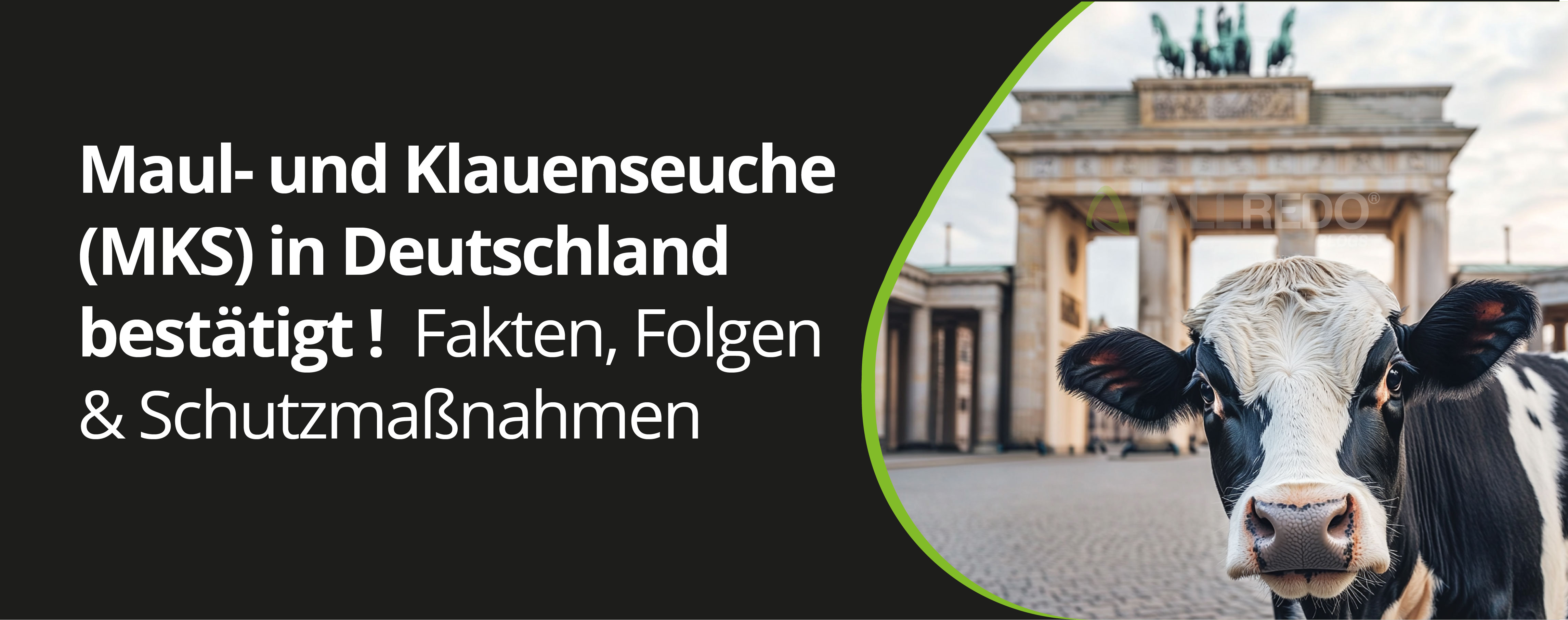 Maul- und Klauenseuche (MKS) in Deutschland bestätigt – Was Landwirte und Klauenpflege jetzt wissen müssen