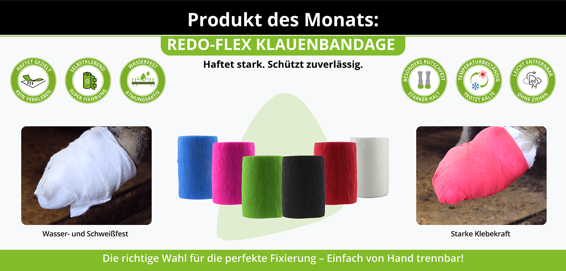 produkt des monats de