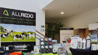 AÖK Salzburg 2025 Österreich