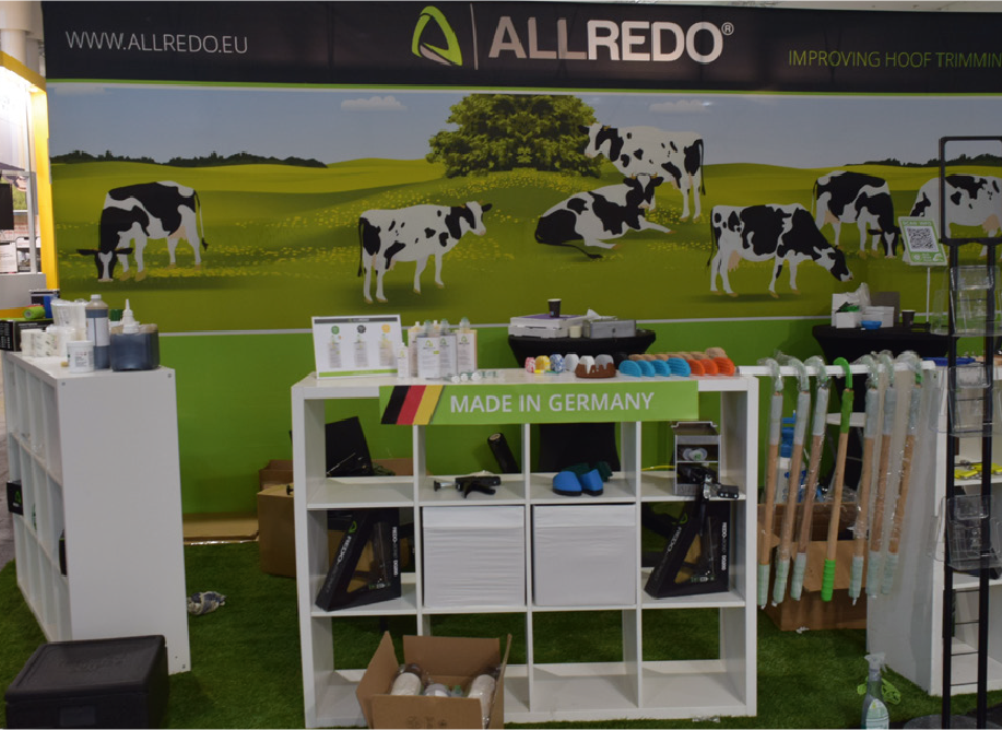 ALLREDO erste Schritte in der Branche