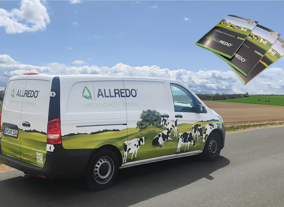 ALLREDO Expansion und Internationalisierung