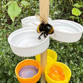 Insekten