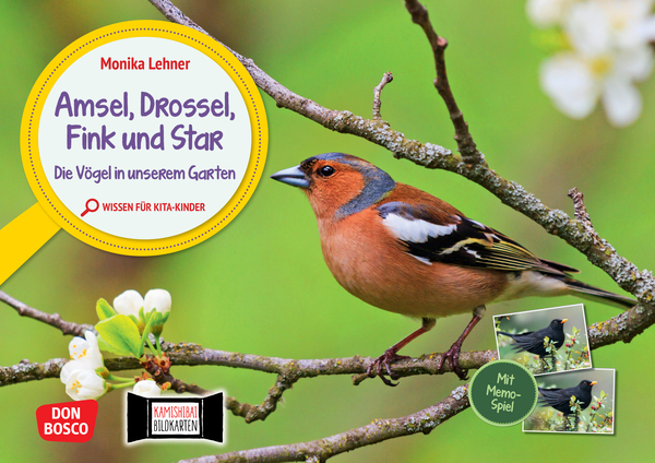 Amsel, Drossel, Fink Und Star. Die Vögel In Unserem Garten. Kamishibai ...