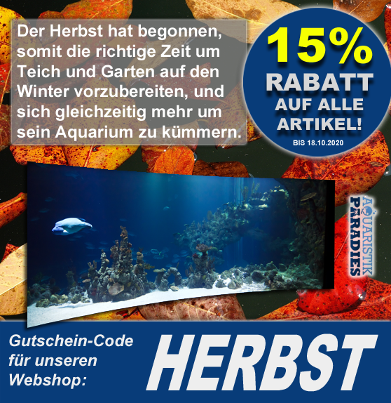 15% Rabatt auf unser gesamtes Sortiment!