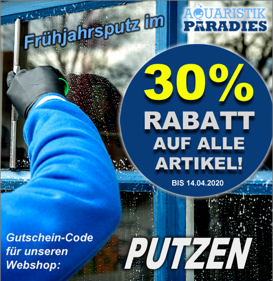 30% Rabatt auf ALLES