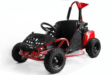 80cc Kinder Buggy GoKid Automatik Offroad quad bike gokart
