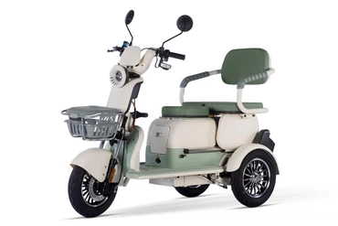 Geco CX2 Dreirad Scooter R120 Elektro Roller Mobil 1200W 60V, Farbe: Grün