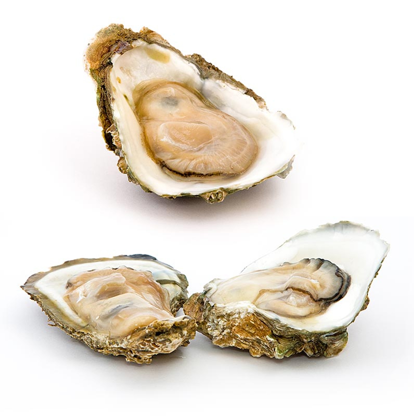 Gillardeau Auster Gillardeau Auster