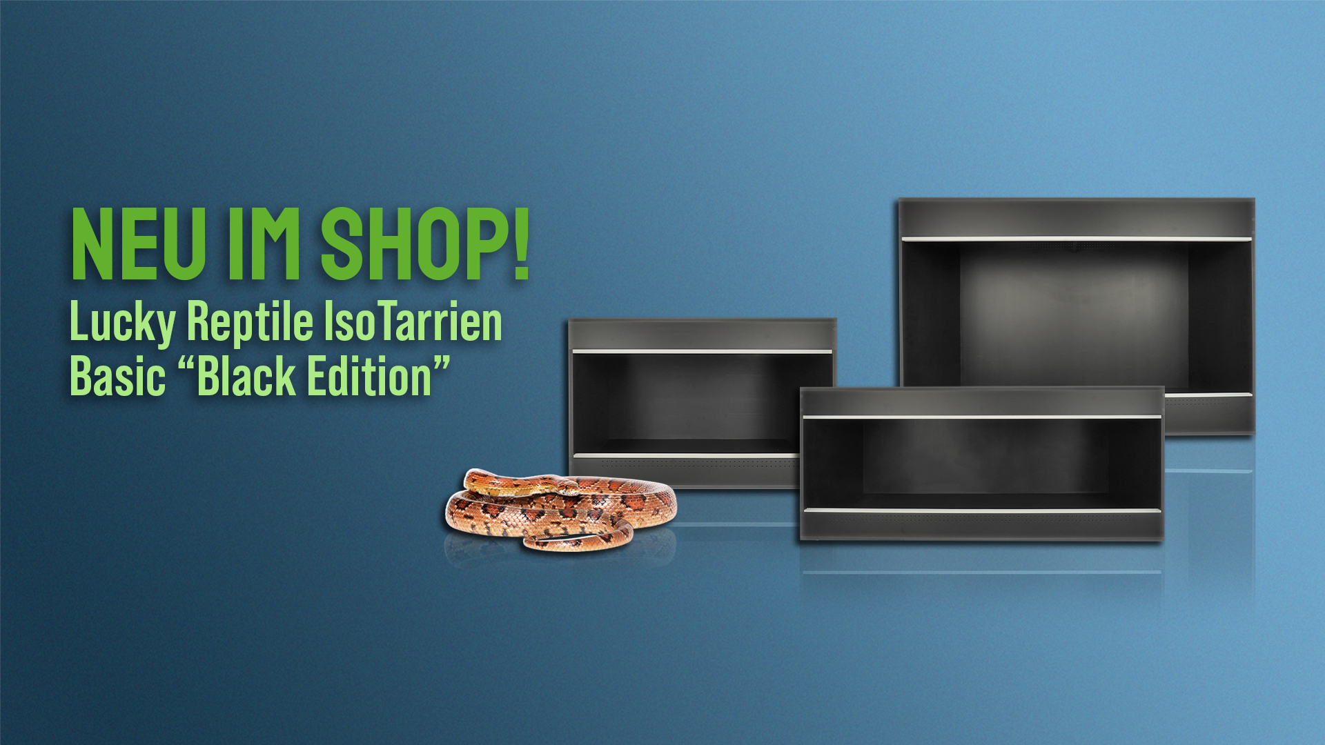     Lucky Reptile Iso Tarrium Basic "Black Edition"