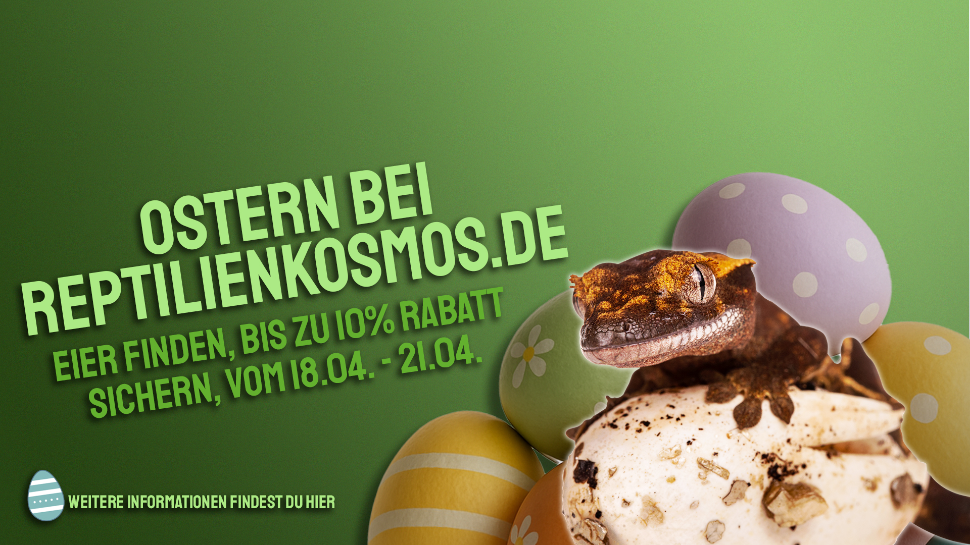 Eiersuche im Reptilienkosmos-Shop!