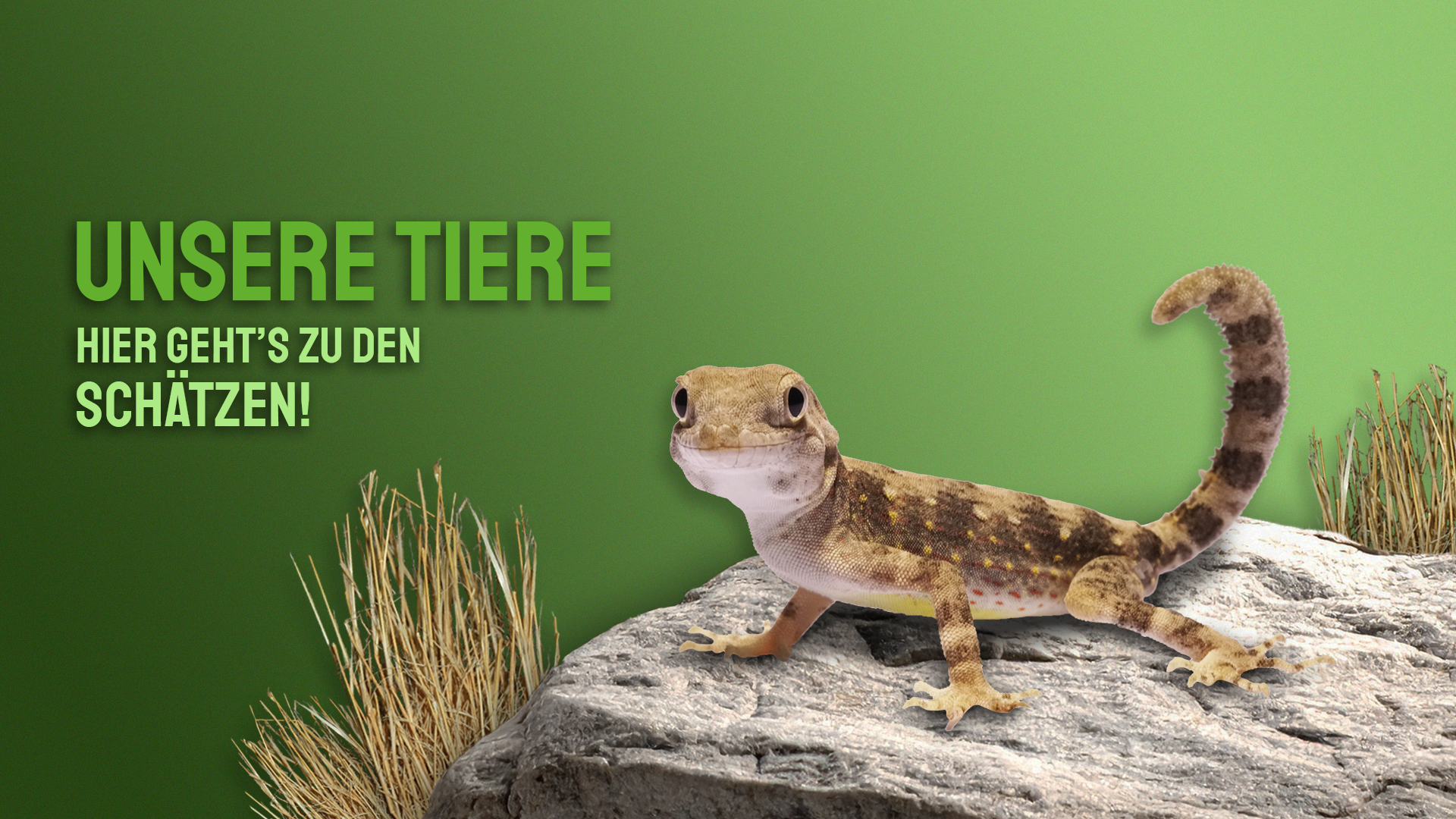 Tiere
