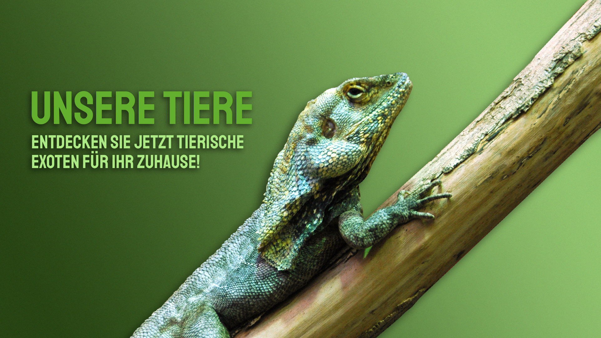 Tiere