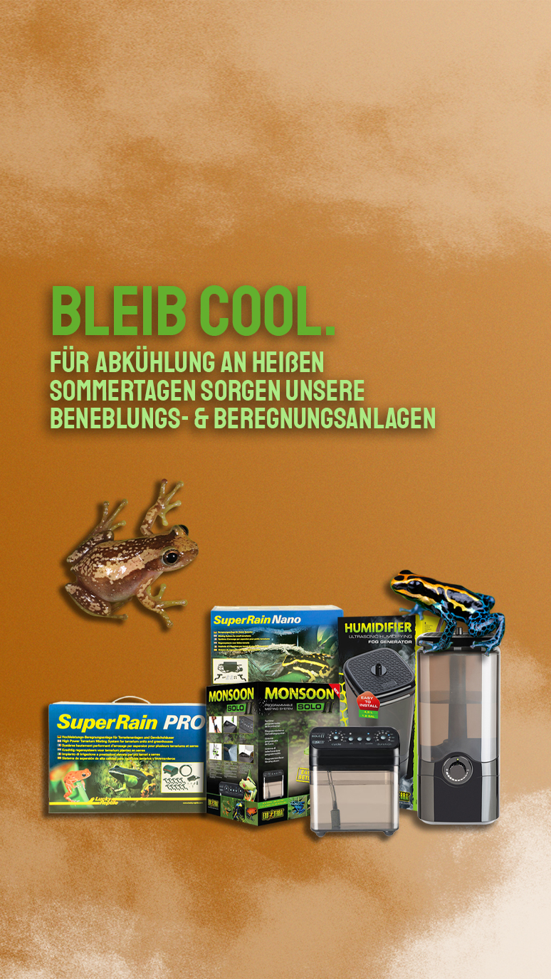 Feuchtigkeit