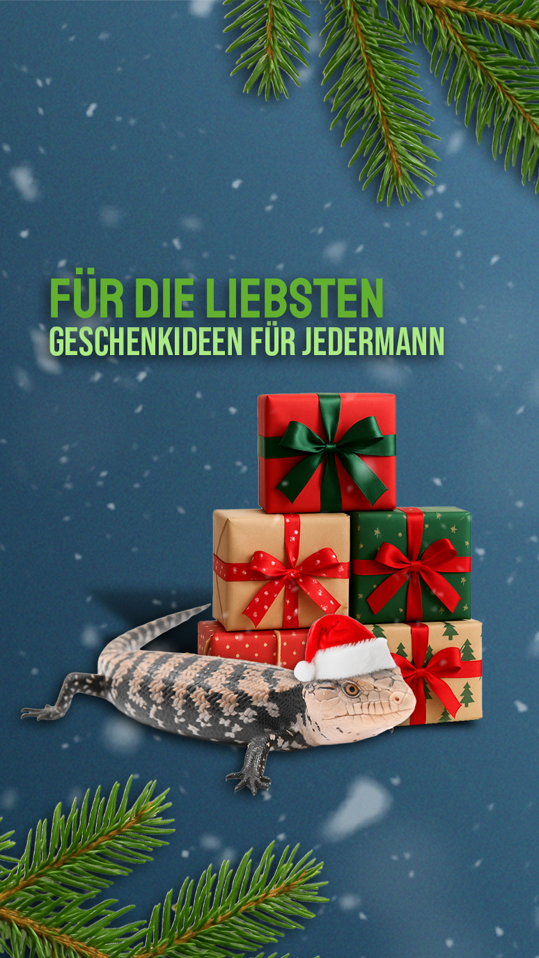 Geschenkideen