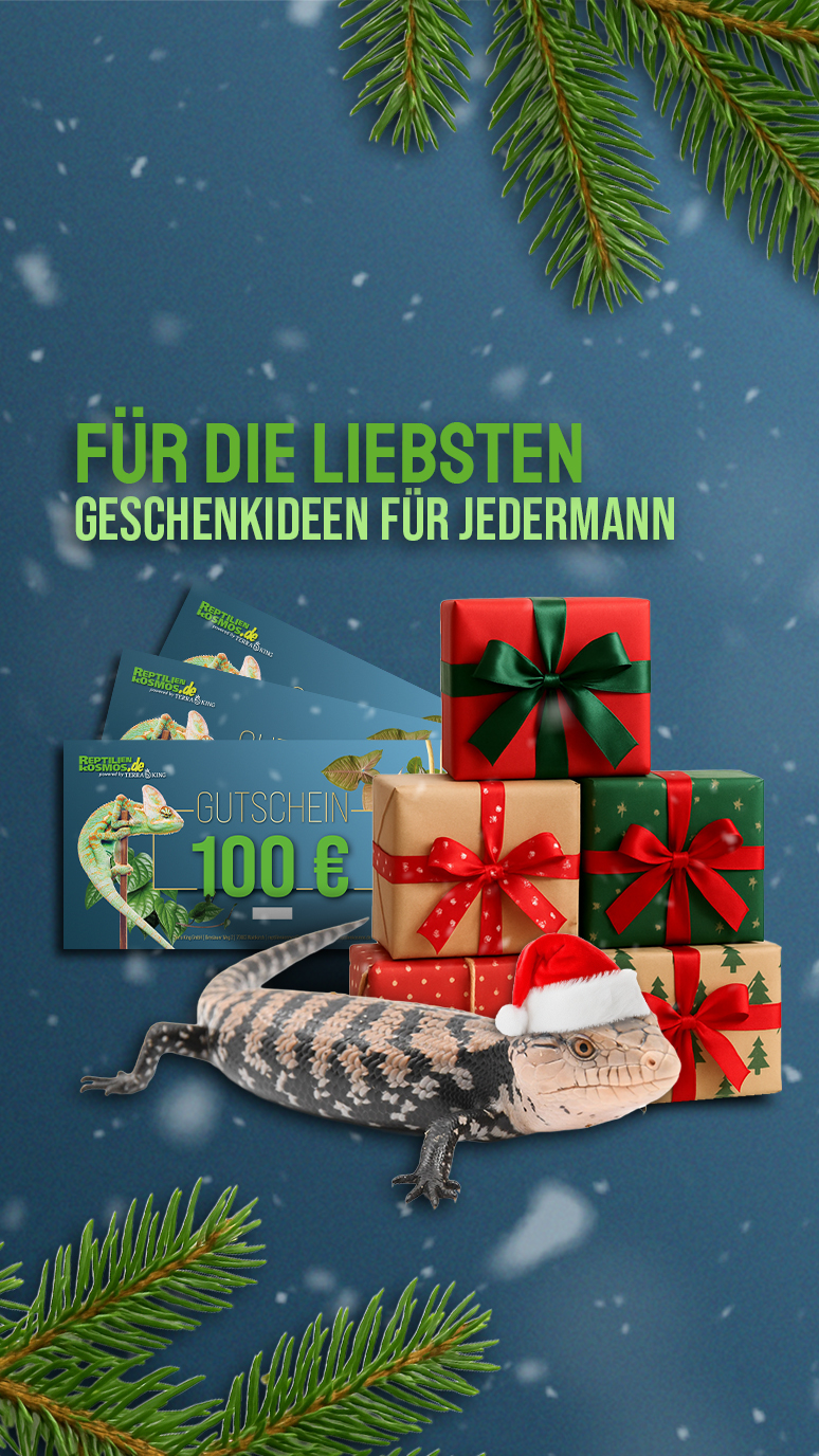 Geschenkideen