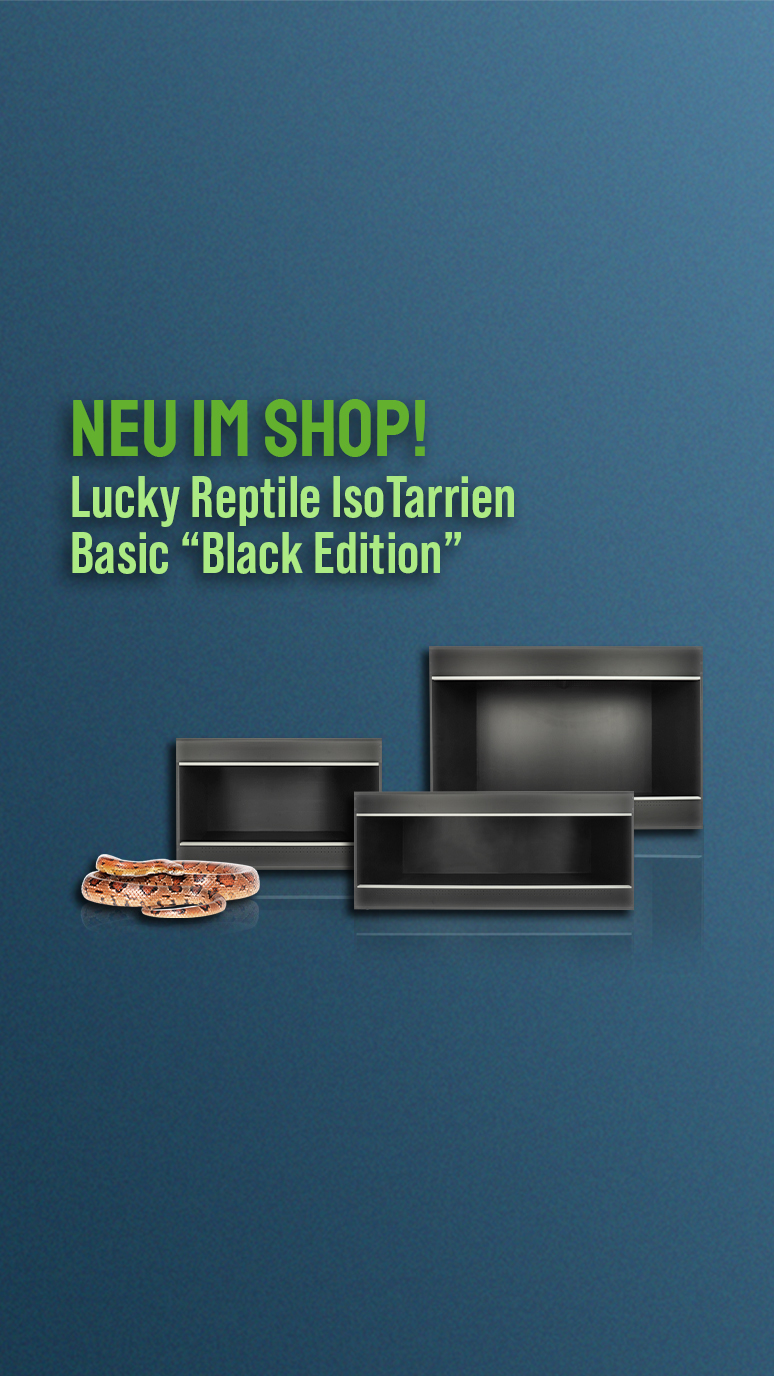     Lucky Reptile Iso Tarrium Basic "Black Edition"