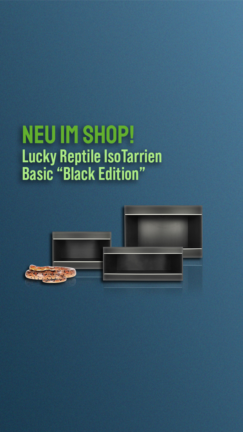     Lucky Reptile Iso Tarrium Basic "Black Edition"
