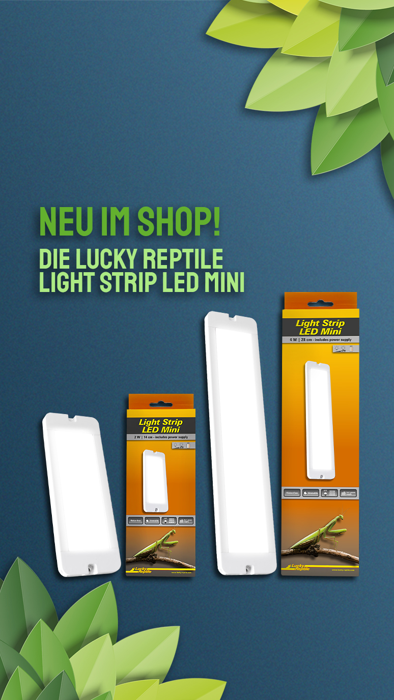     Lucky Reptile Light Strip LED Mini