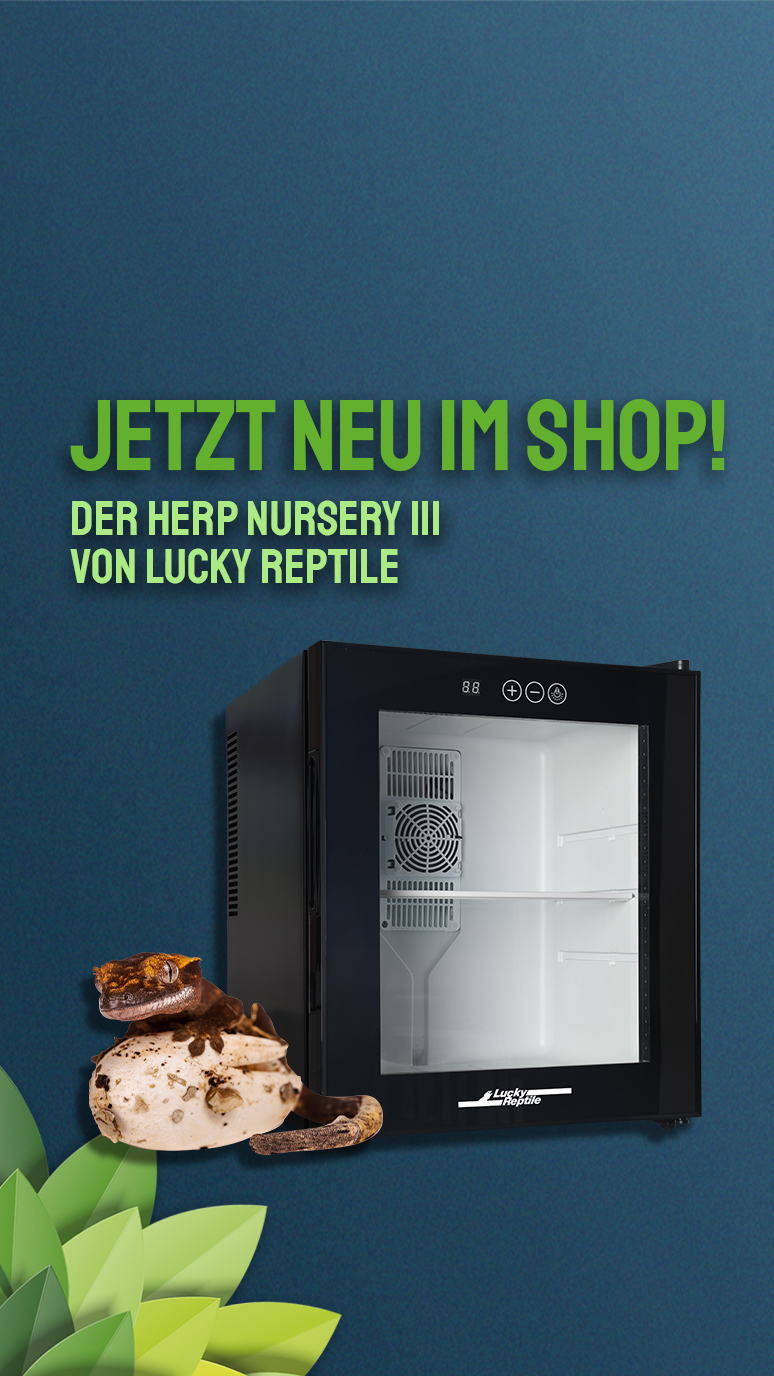     Lucky Reptile Herp Nursery III - Inkubator für Reptilieneier