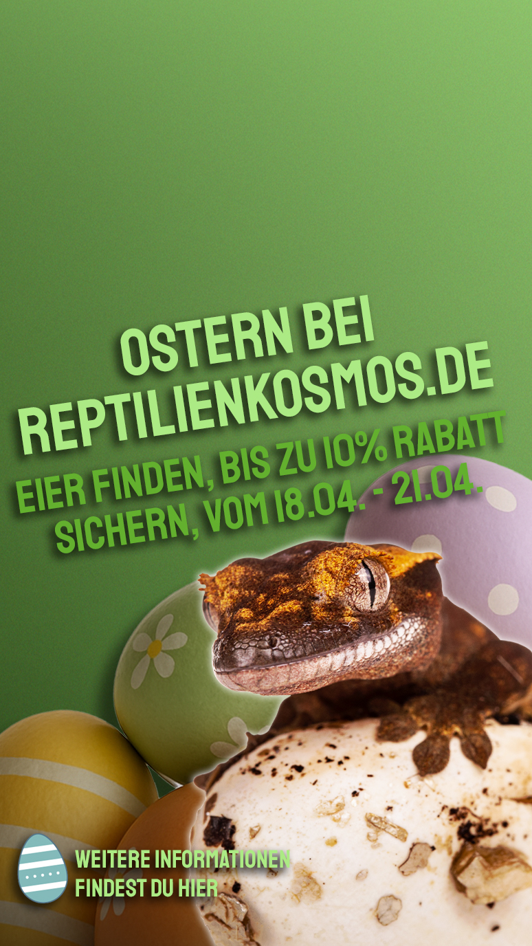 Eiersuche im Reptilienkosmos-Shop!
