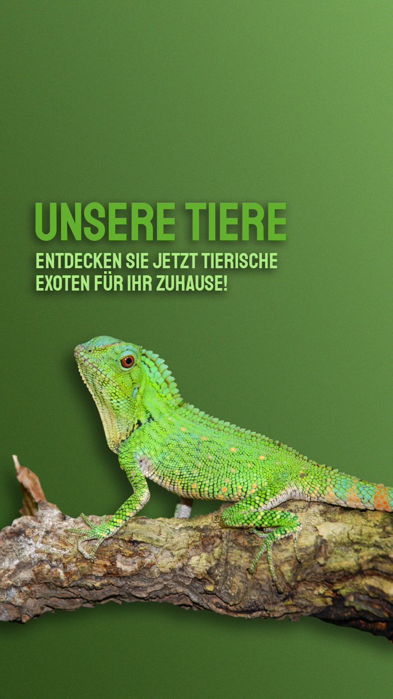 Tiere
