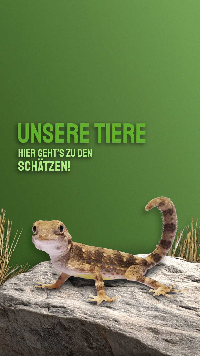 Tiere